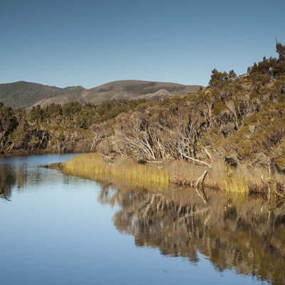 Melaleuca National Park: credit J Ringma